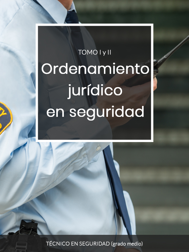 Técnico en seguridad